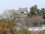 PICT2212.JPG
