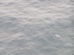 PICT2395.JPG