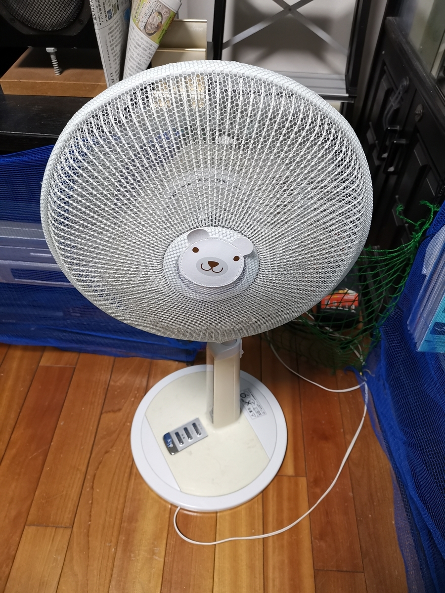 扇風機が活躍