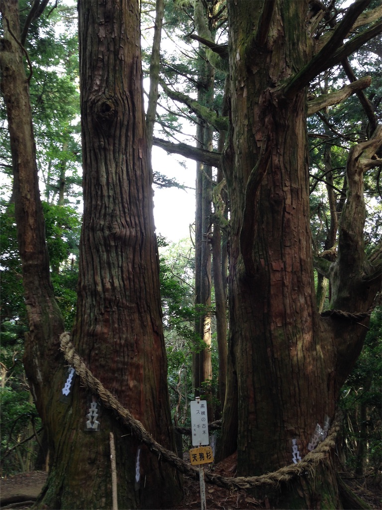 f:id:otomo408:20161019142825j:image