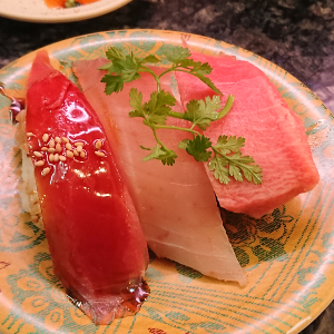 f:id:otona-hattatsushougai-challenge:20181130203214p:plain f:id:otona-hattatsushougai-challenge:20181130203214p:plain