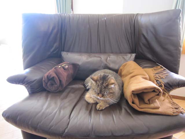 f:id:otona12:20160716010240j:plain f:id:otona12:20160716010240j:plain