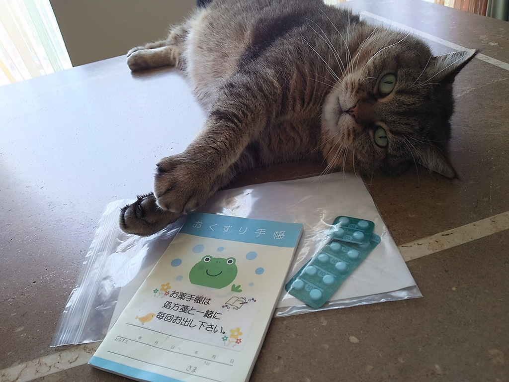 f:id:otona12:20160718122957j:plain f:id:otona12:20160718122957j:plain