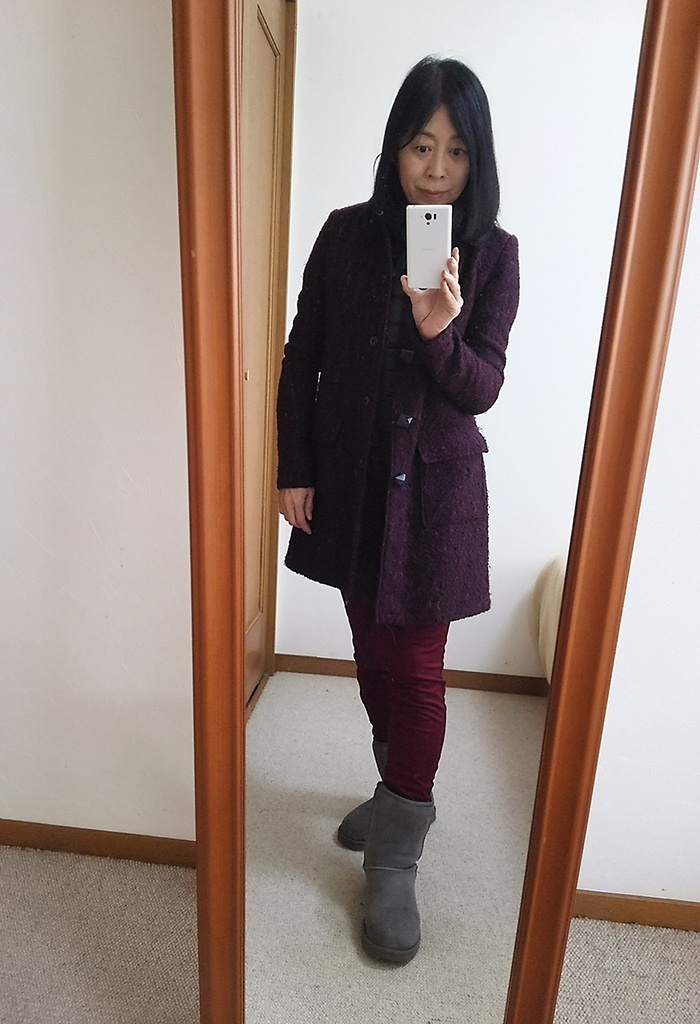 f:id:otona12:20161212144823j:plain