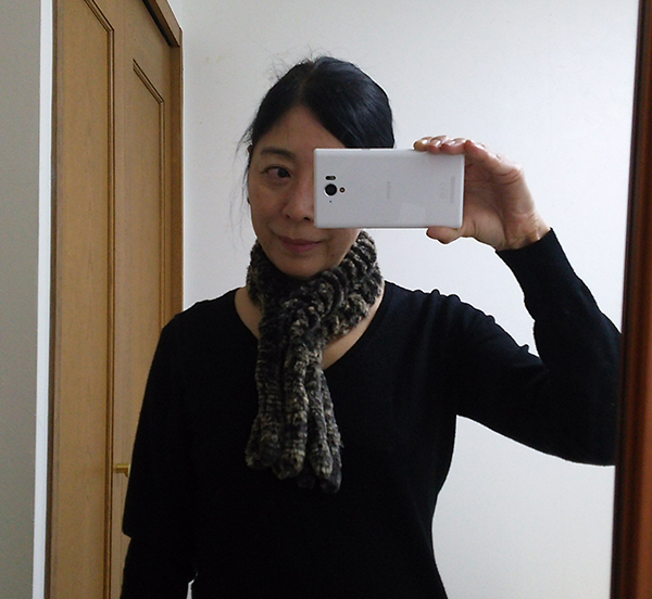 f:id:otona12:20170105185313j:plain