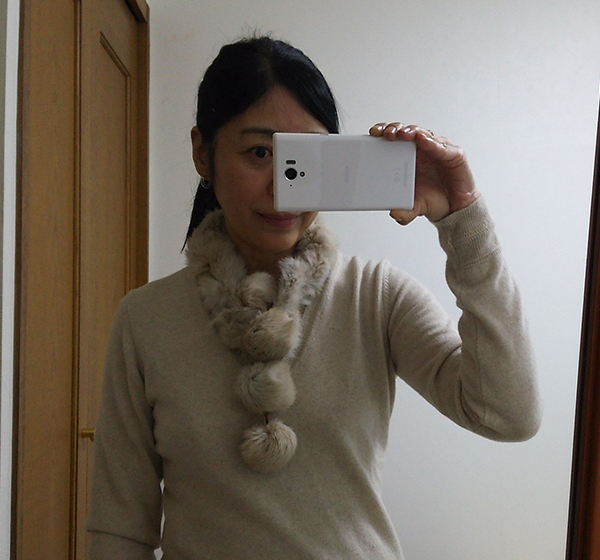 f:id:otona12:20170105185516j:plain
