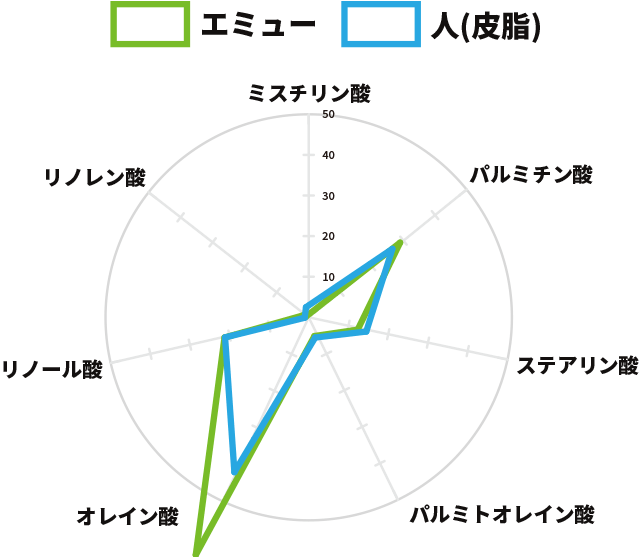 f:id:otona12:20181221030249p:plain