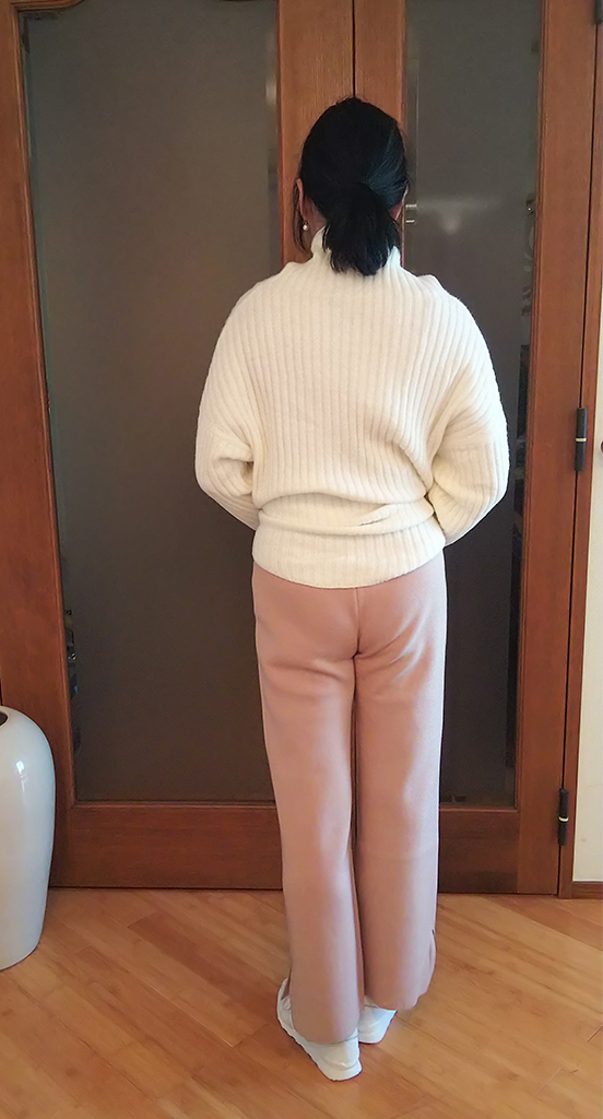 f:id:otona12:20190105183803j:plain