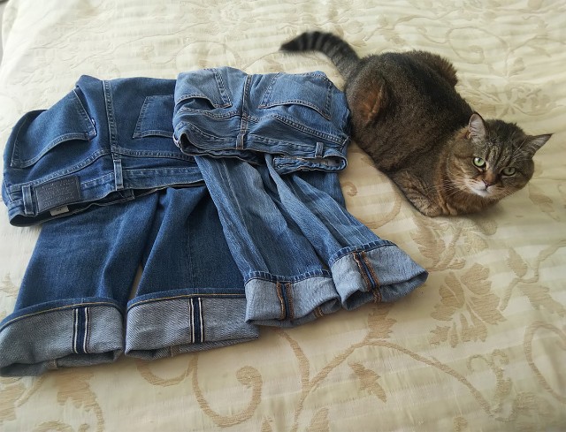 f:id:otona12:20190525114308j:image f:id:otona12:20190525114308j:image