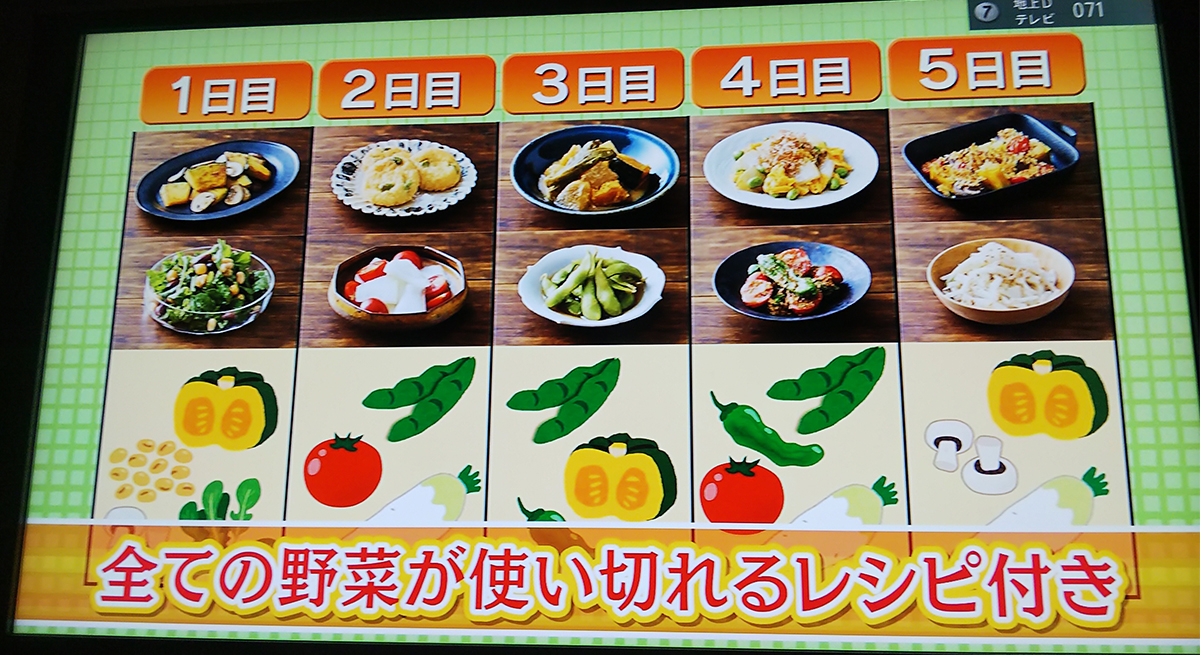 5日間のレシピ付き