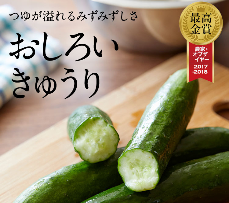 おしろいきゅうり