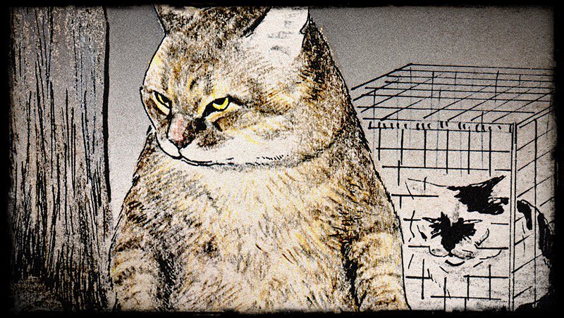 つしま（つーさん