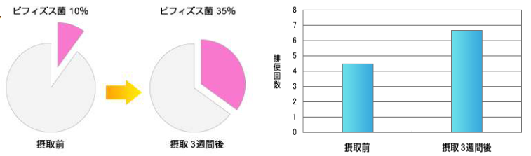 α-シクロデキストリンを1日あたり3g、3週間摂取すると便中のビフィズス菌が3.5倍、排便回数は約1.5倍に!