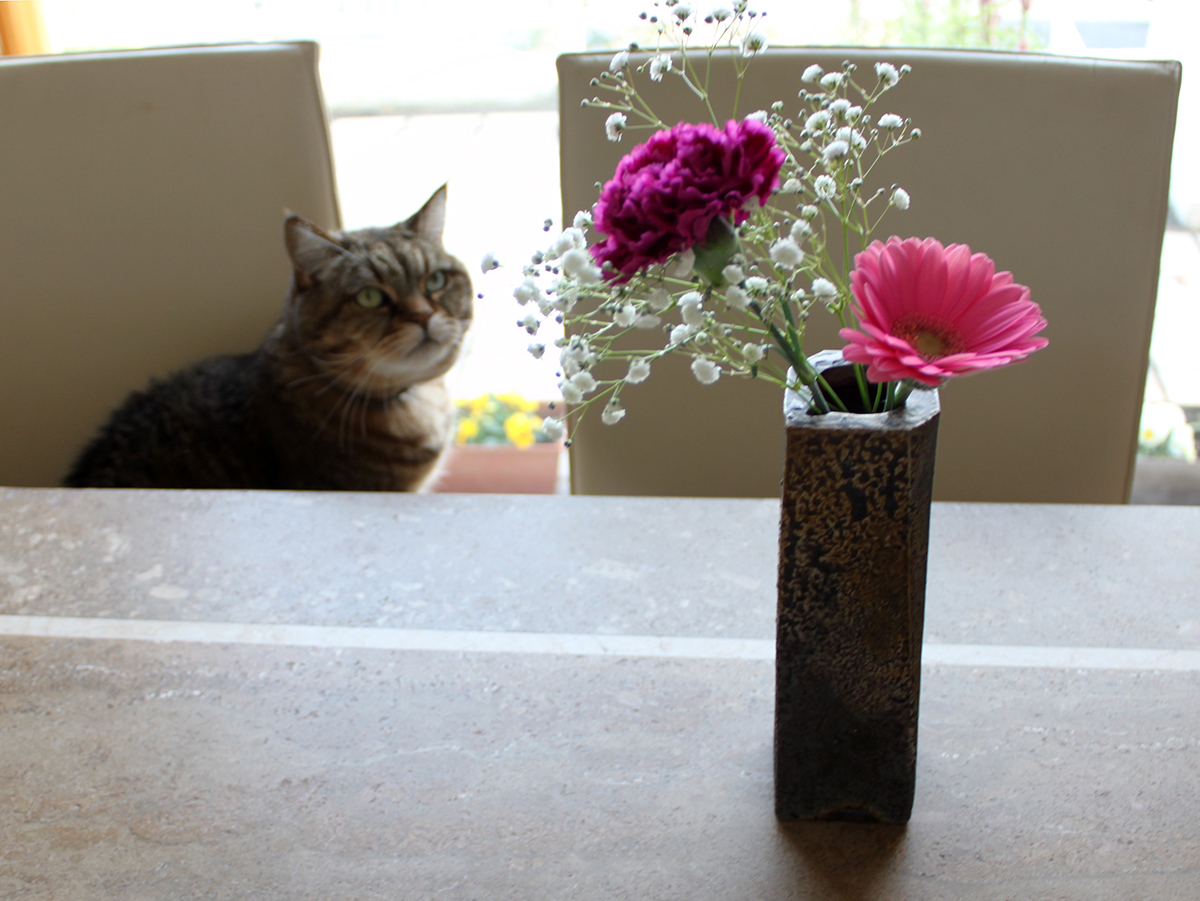 備前焼の花瓶に生けたところ