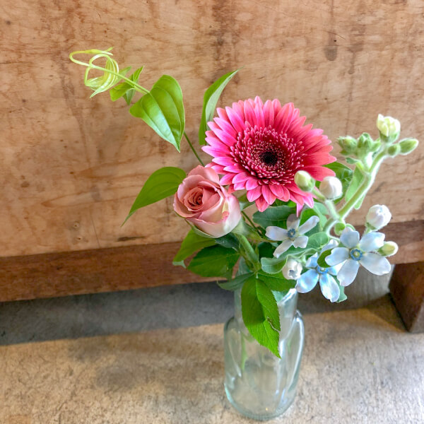 レギュラープラン