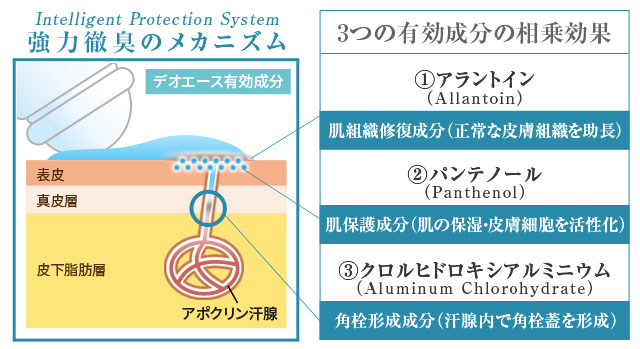 ポリエステルのにおいは制汗剤で予防 アポクリン汗腺に角栓で蓋をするデオエースexプラス 歳を隠すのをやめました