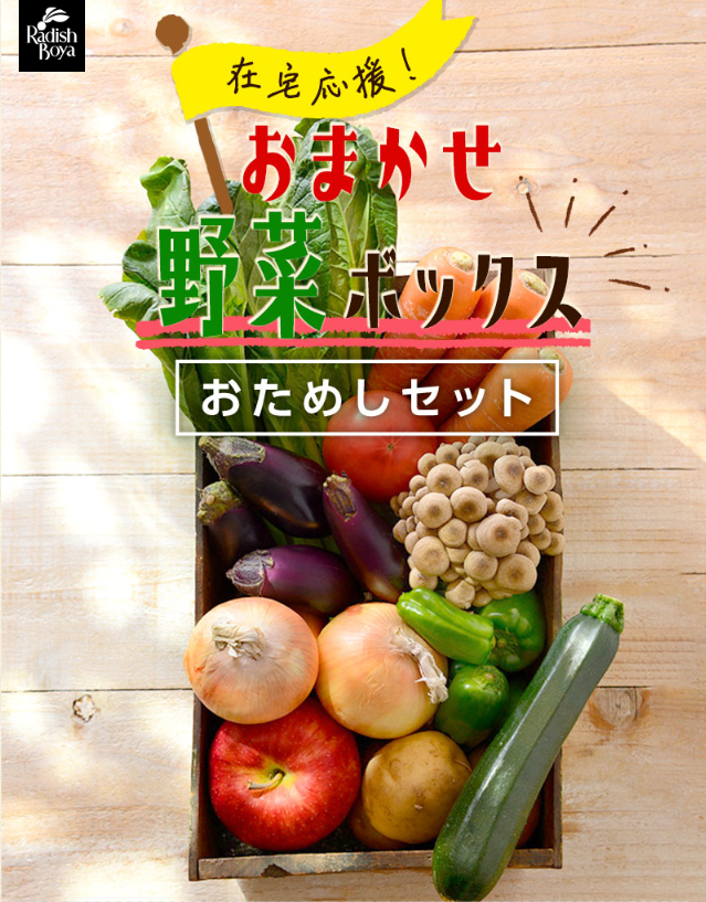 在宅応援おまかせ野菜ボックス