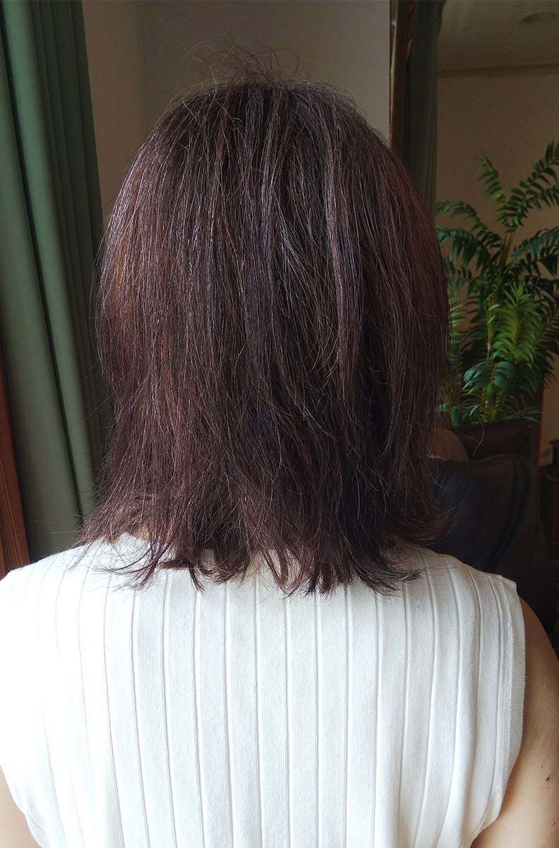 後ろから見たところ