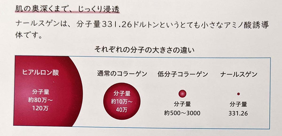 ナールスゲン