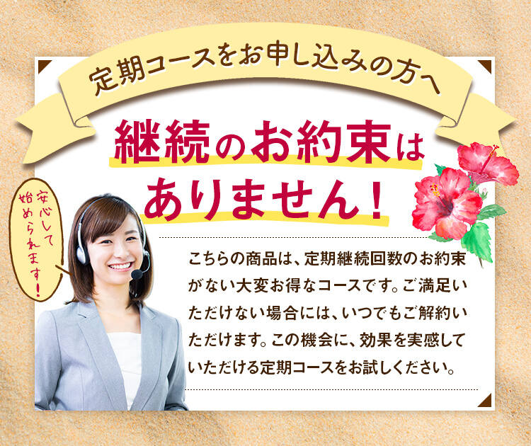 定期縛りなし