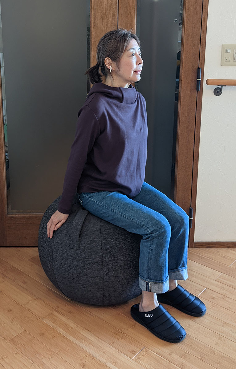 Vivora/シーティングボール シェニール