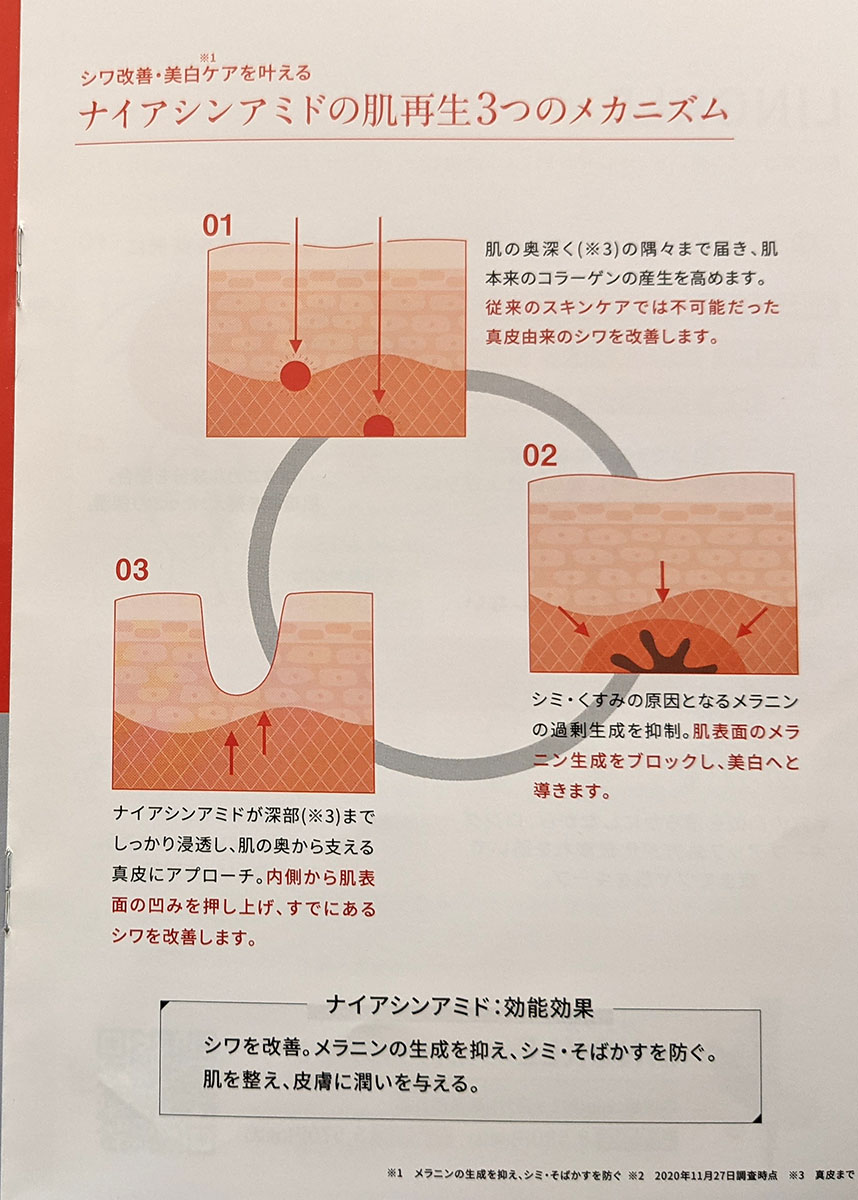 ナイアシンアミドの肌再生メカニズム