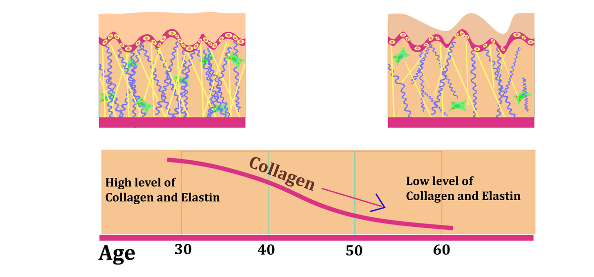 手のエイジング
