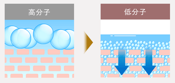 低分子 VS 高分子の浸透度