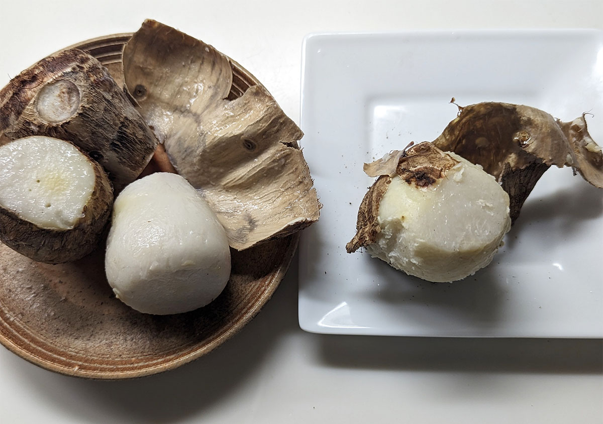 里芋の食べ比べをしました|甘くてねっとり、皮が一瞬で剥ける新潟県五泉市の純白さといもが勝ち! - 歳を隠すのをやめました