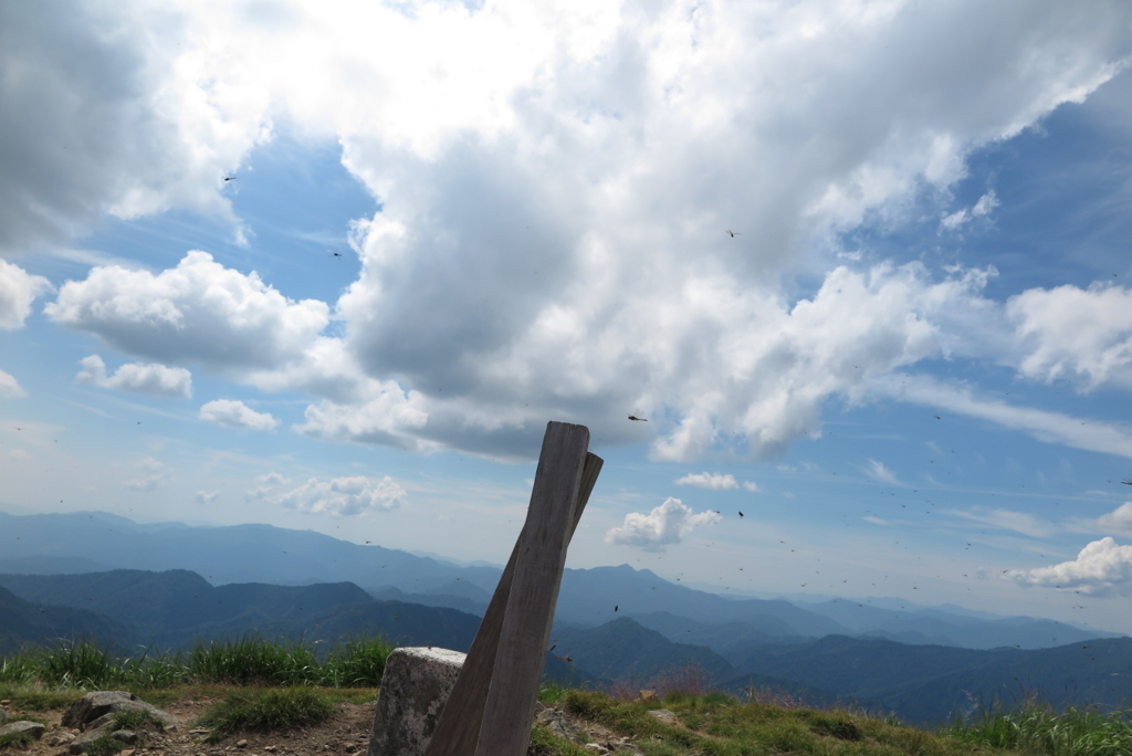 f:id:otonajoshi:20150722135418j:plain