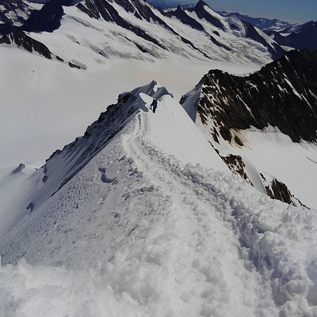 f:id:otonajoshi:20160825193346j:plain