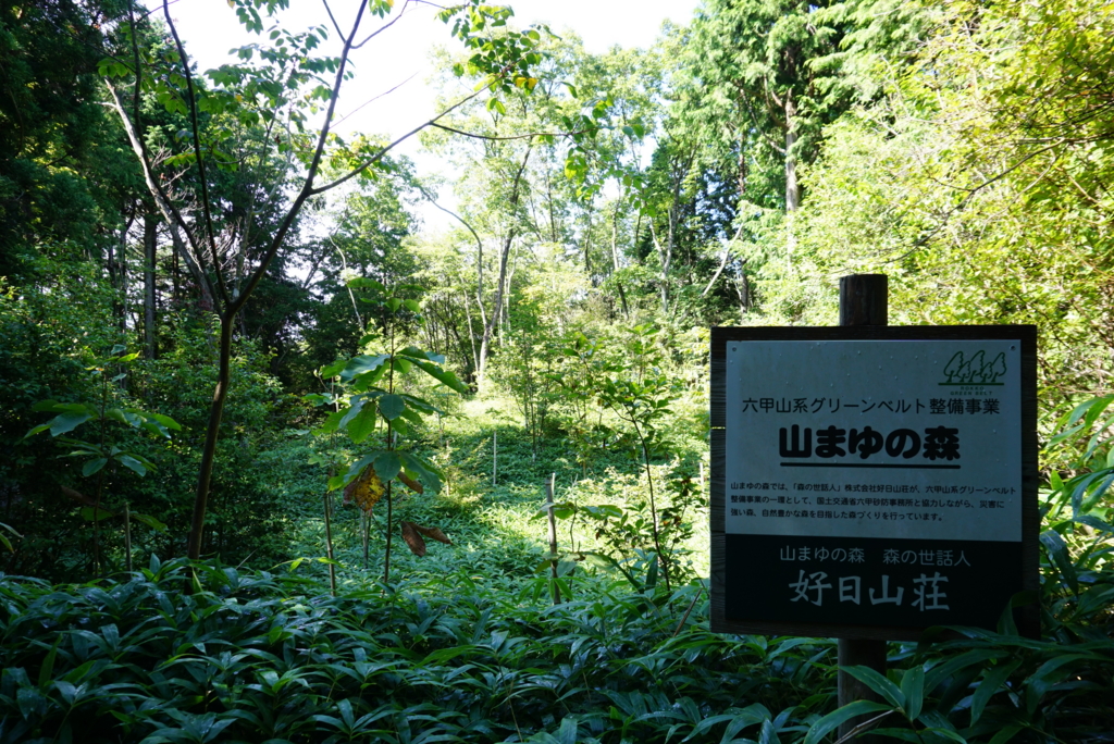 f:id:otonajoshi:20160828150045j:plain