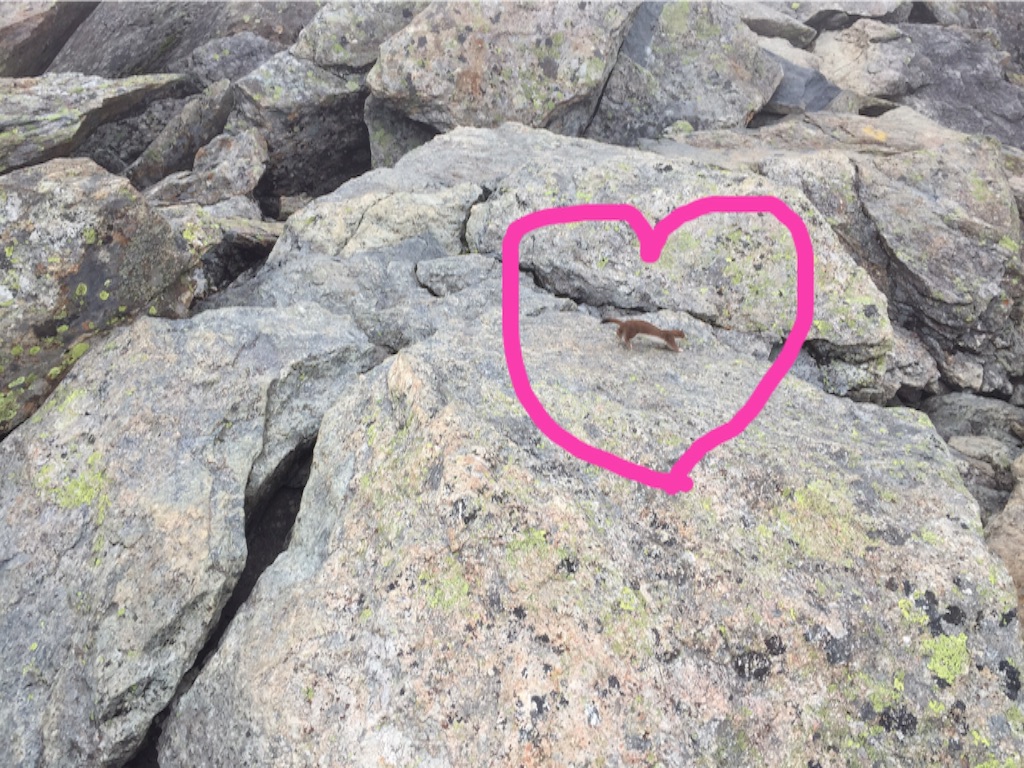 f:id:otonajoshi:20160906214427j:image f:id:otonajoshi:20160906214427j:image