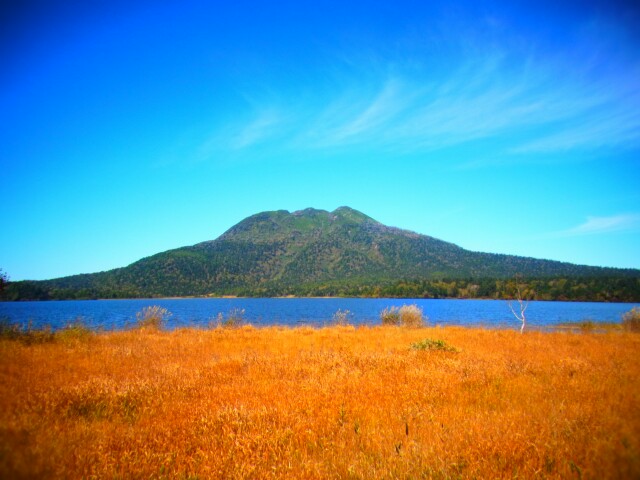 f:id:otonajoshi:20161011133319j:plain