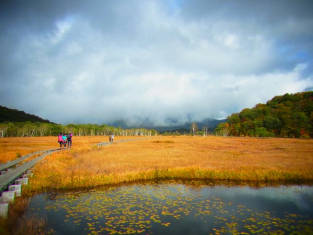 f:id:otonajoshi:20161011134901j:plain