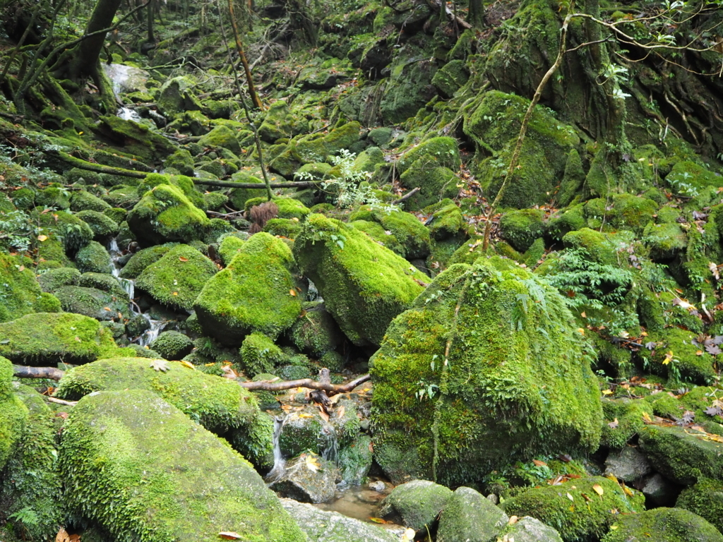 f:id:otonajoshi:20161028112658j:plain f:id:otonajoshi:20161028112658j:plain