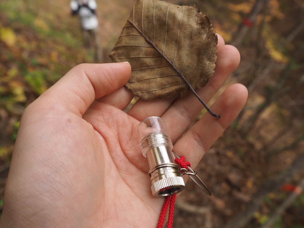 f:id:otonajoshi:20161115002726j:image