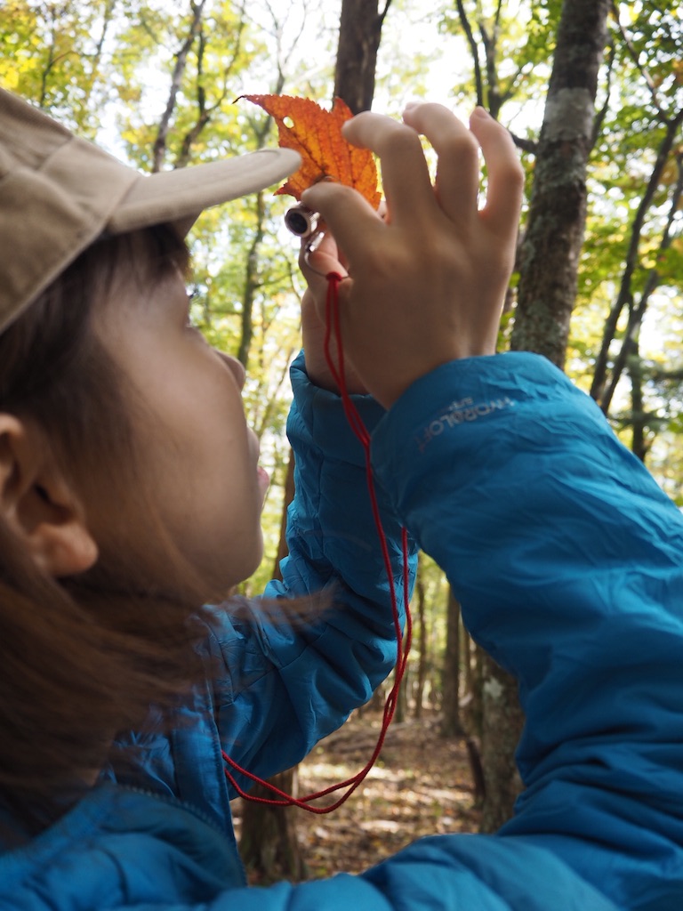 f:id:otonajoshi:20161115002757j:image