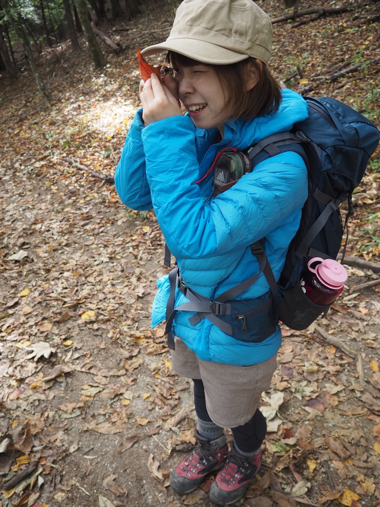 f:id:otonajoshi:20161115002903j:image