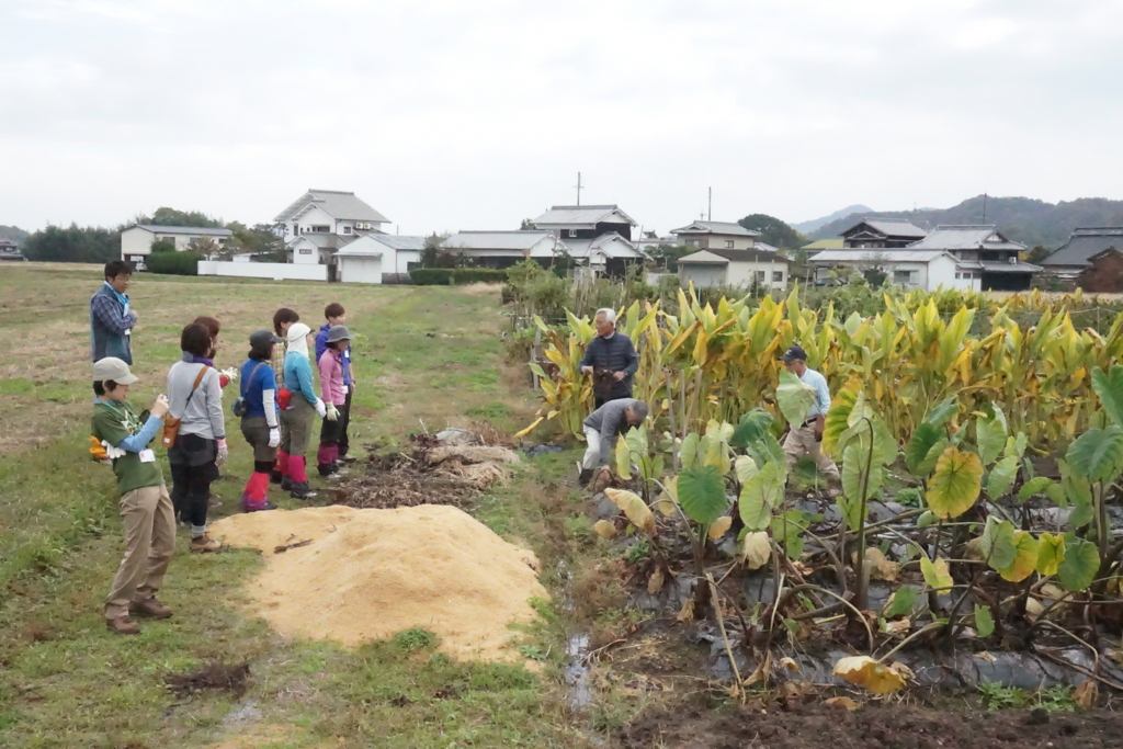 f:id:otonajoshi:20161119132620j:plain f:id:otonajoshi:20161119132620j:plain