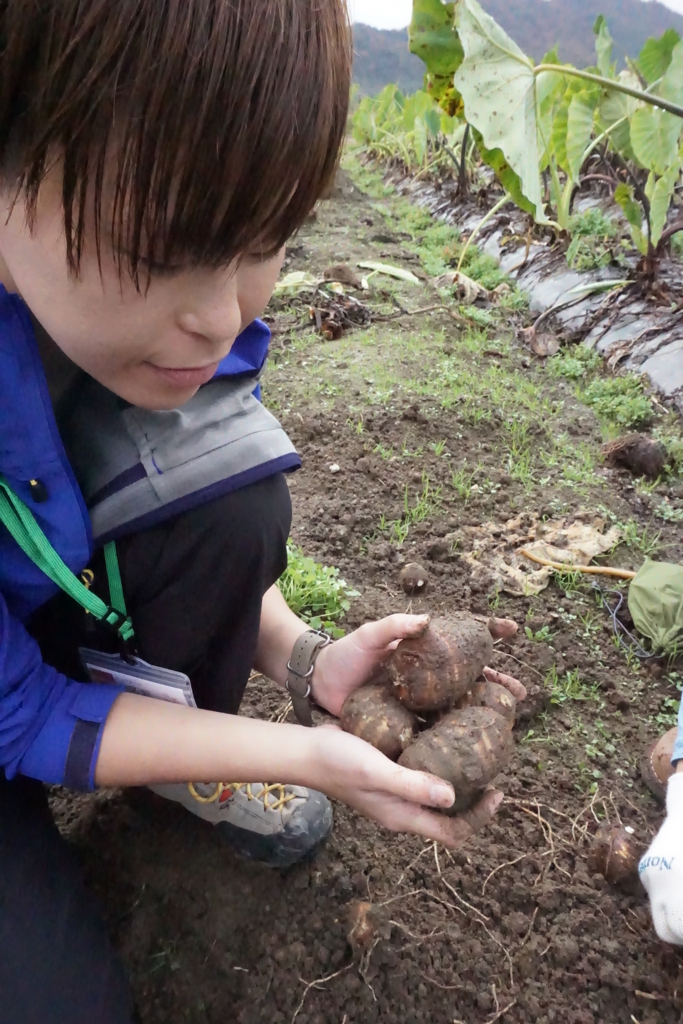 f:id:otonajoshi:20161119133439j:plain f:id:otonajoshi:20161119133439j:plain