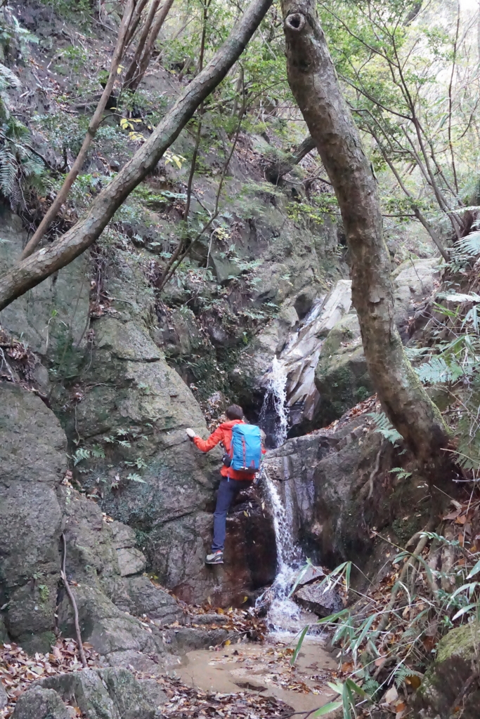 f:id:otonajoshi:20161128110353j:plain