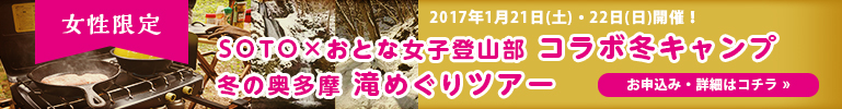 f:id:otonajoshi:20161214145300j:plain f:id:otonajoshi:20161214145300j:plain
