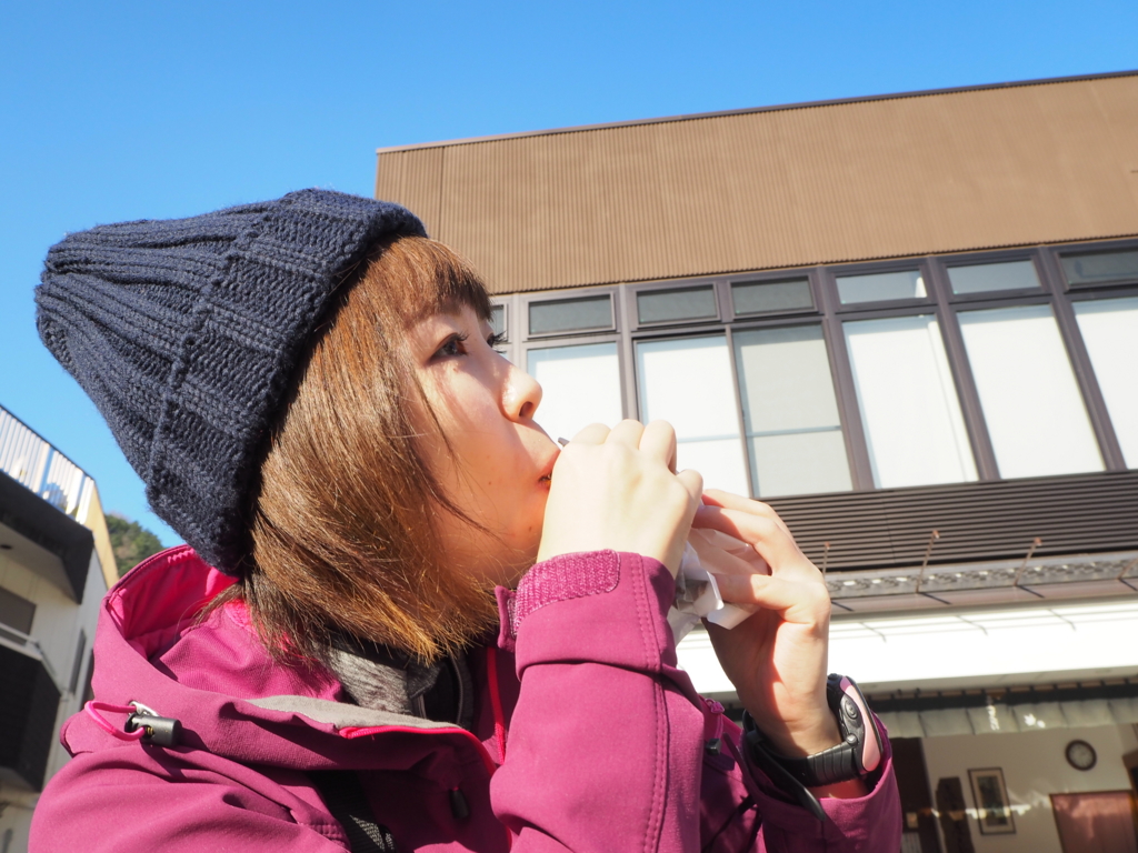 f:id:otonajoshi:20161218140511j:plain f:id:otonajoshi:20161218140511j:plain