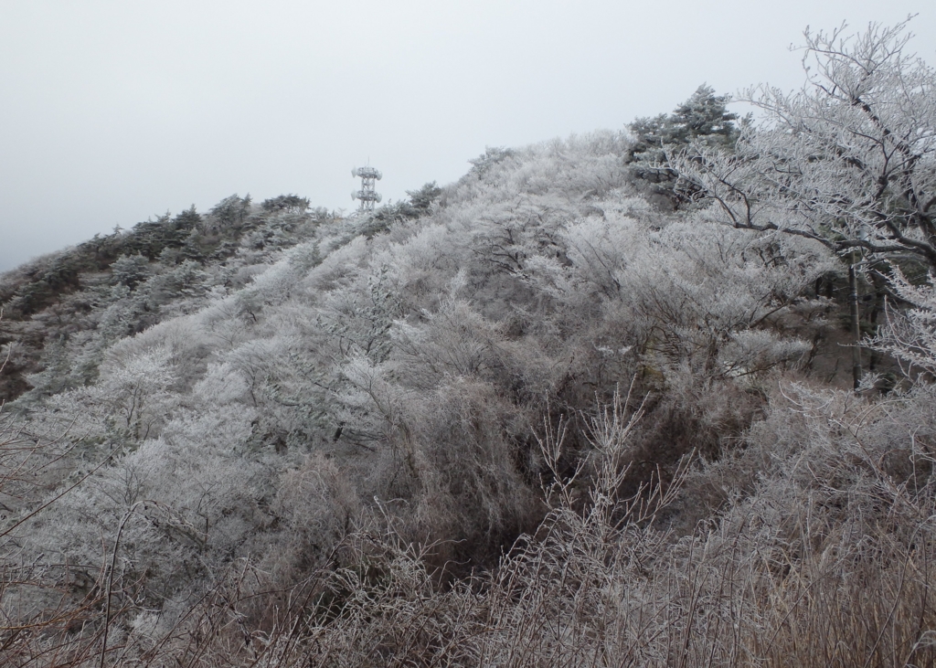 f:id:otonajoshi:20161228105733j:plain