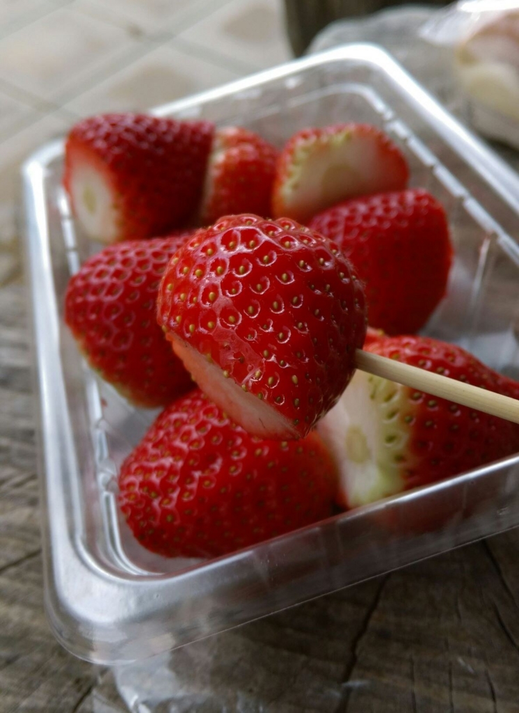 f:id:otonajoshi:20170119213011j:plain