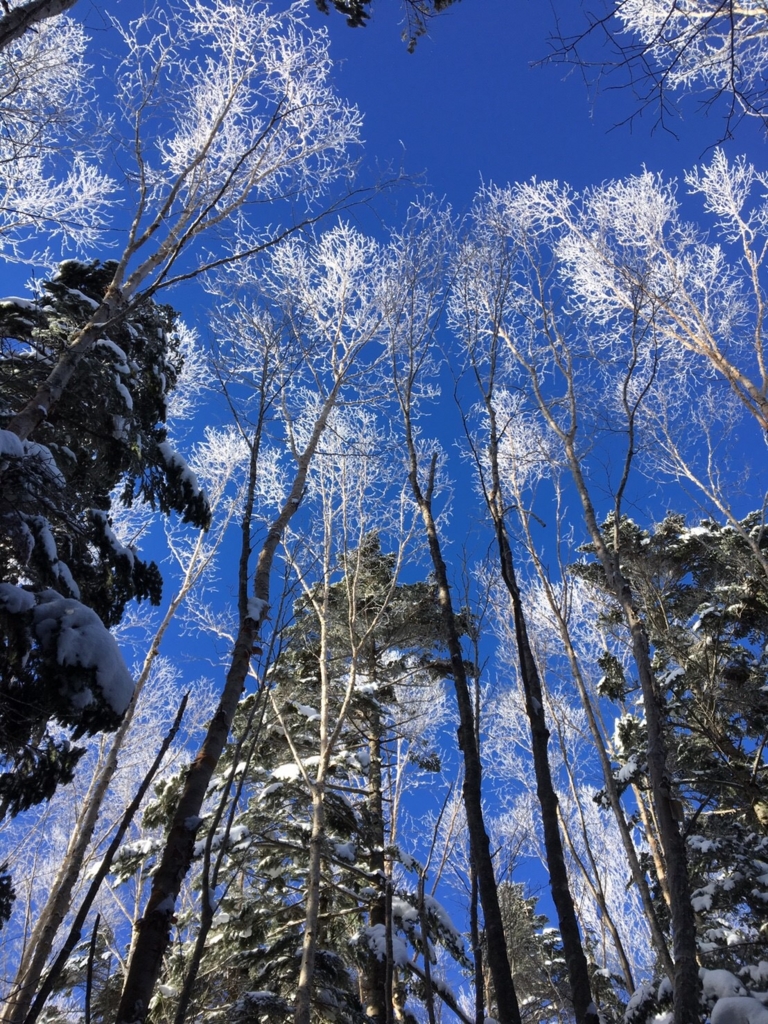 f:id:otonajoshi:20170205001435j:plain