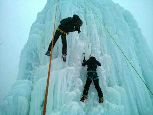 f:id:otonajoshi:20170209205350j:plain f:id:otonajoshi:20170209205350j:plain