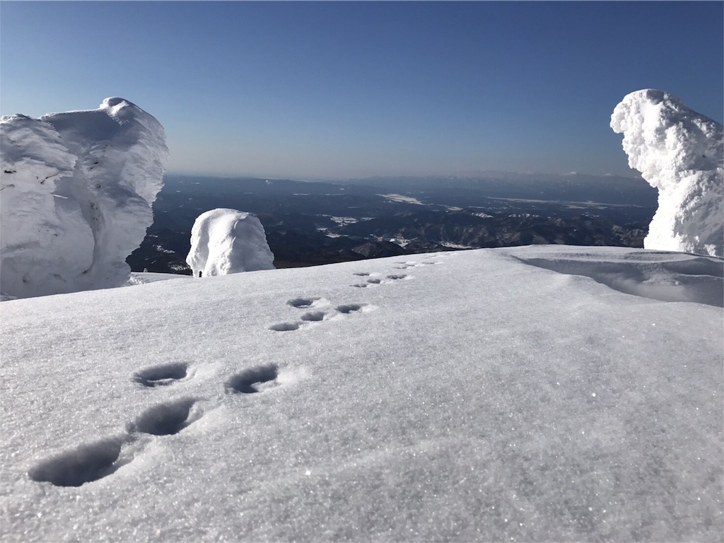 f:id:otonajoshi:20170302201258j:image