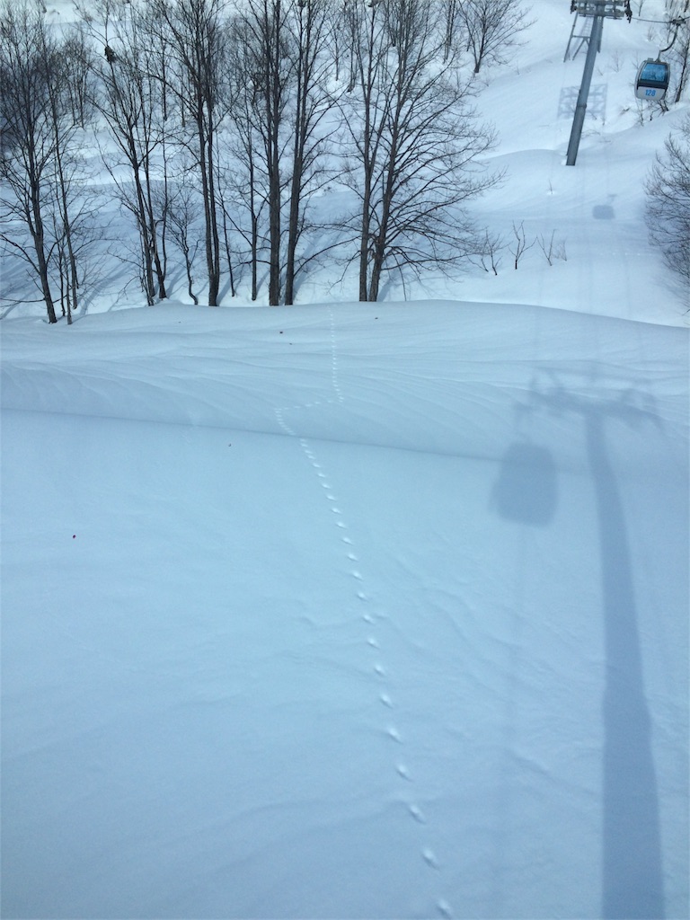 f:id:otonajoshi:20170302201406j:image